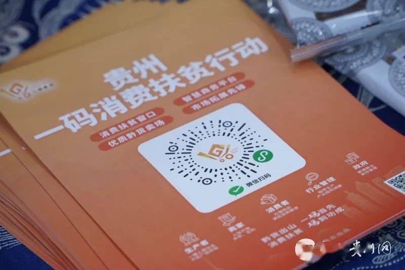 一码出特，探索数字世界的独特魅力，数字世界的独特魅力探索，一码出特