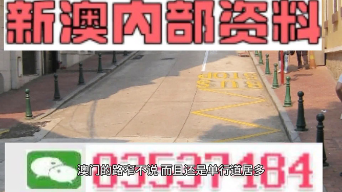 新门内部资料精准大全，深度探索与全面解读，新门内部资料深度探索与全面解读秘籍大全