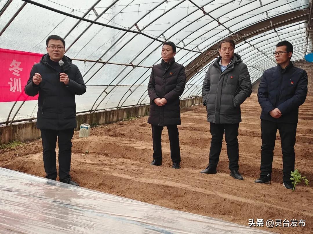 中台军力对比2021，深度分析与观察，2021年中台军力深度分析与观察