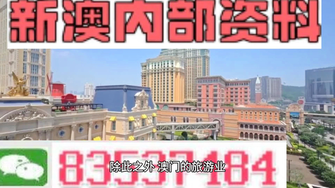 新门内部资料精准大全，揭秘未知领域的关键信息，新门内部资料揭秘，未知领域的关键信息大全