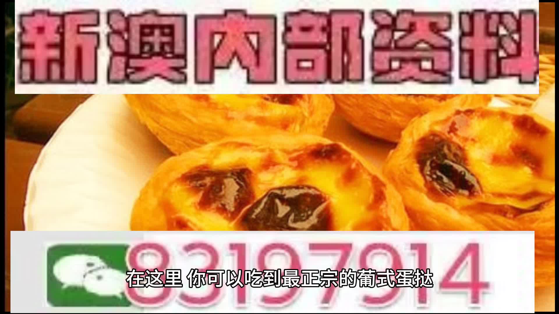新澳门内部十码中特——探索与解读，澳门内部十码中特，深度解读与探索