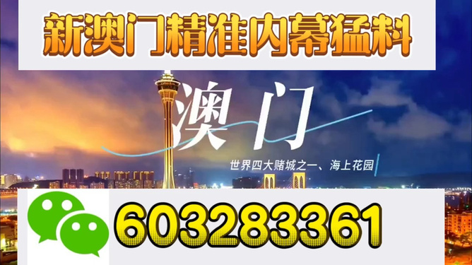 新澳24年088期资料深度解析，新澳24年088期资料深度剖析报告