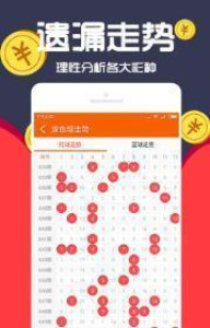 王中王一肖一吗期期中——探寻背后的故事与意义，王中王一肖背后的故事与意义探寻