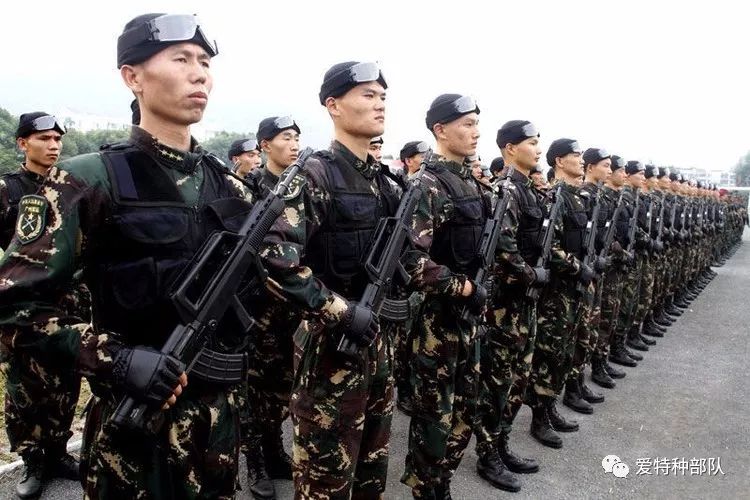 中国特种部队排名图片大全，荣耀与力量的象征，中国特种部队排名图片展示，荣耀与力量的象征