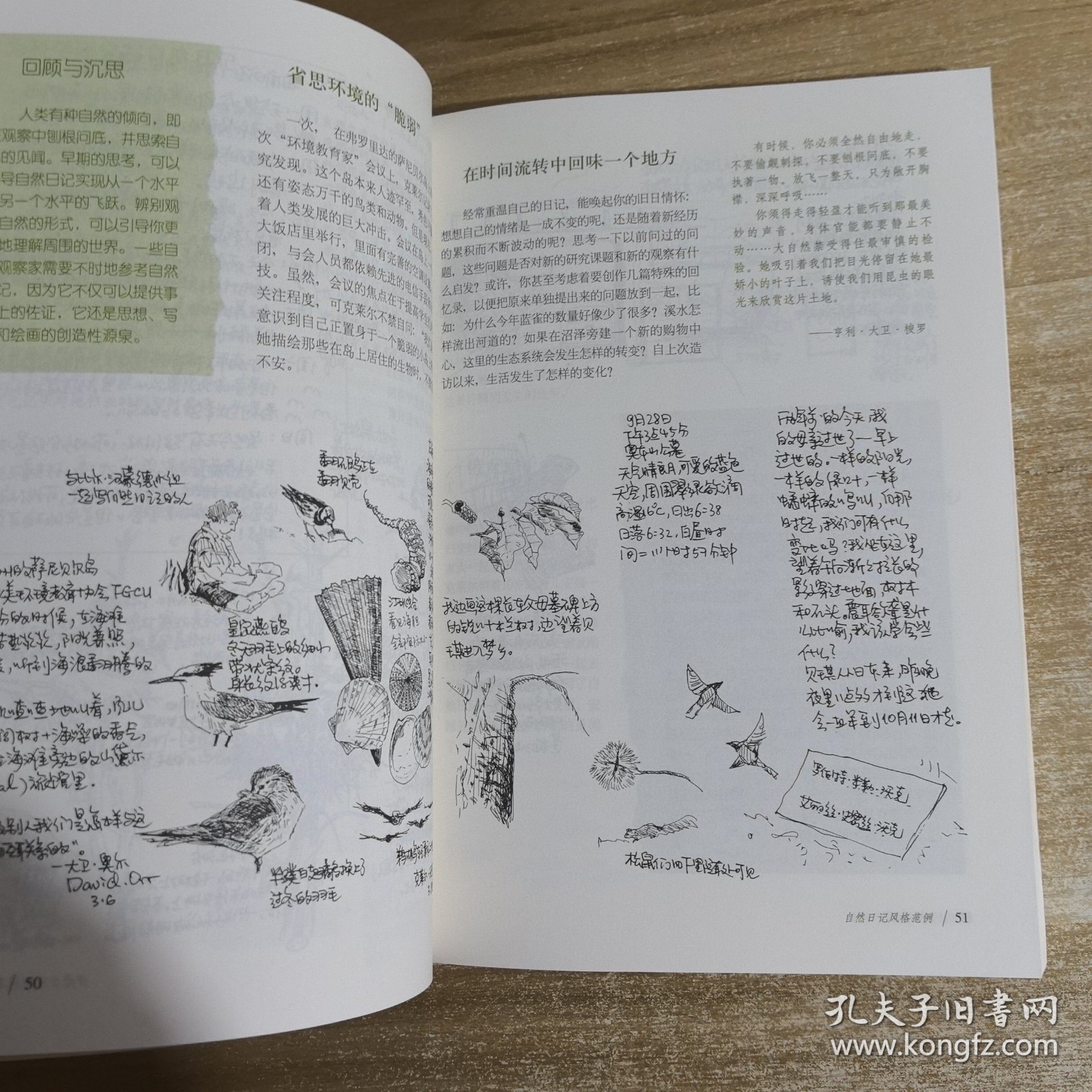 国际观察笔记，全球风云的微观洞察，全球风云微观洞察，国际观察笔记