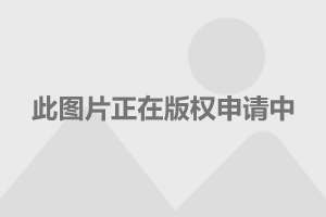 歼-16单座版，空中力量的新纪元，歼-16单座版，空中力量的崭新里程碑