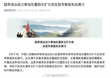 原因及未来展望