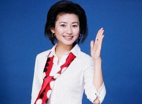 中央新闻主持人的工资每月多少，揭秘与探讨，揭秘中央新闻主持人月工资水平，深度探讨与解析