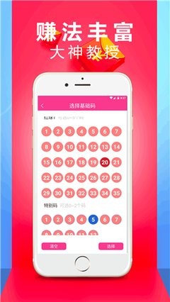 王中王一肖二码资料，探索与解析，王中王一肖二码资料解析探索