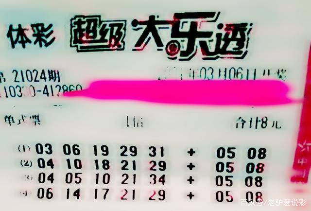 王中王024期指一生肖——探寻背后的文化魅力与生肖奥秘，王中王024期生肖揭秘，探寻背后的文化魅力与神秘生肖奥秘