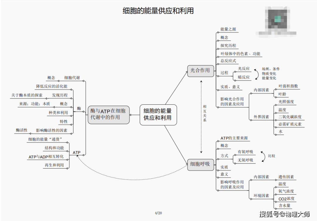 揭秘彩票背后的秘密，王中王三肖四期必开一肖的真相探讨，揭秘彩票背后的秘密，王中王三肖四期必开一肖真相揭秘