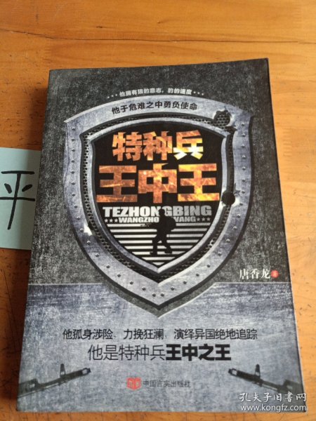王中王资料与一肖中特管，深度解析，王中王资料与一肖中特管深度解析报告