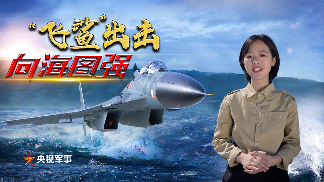 央视网军事快看，深度解析军事动态，展现国防力量，央视网军事快看，深度解读军事态势，展现国防实力