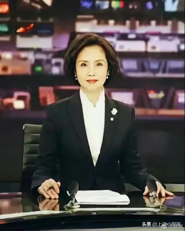 中央新闻直播今天回放,深度解析时事动态,中央新闻直播回放,时事动态深度解析