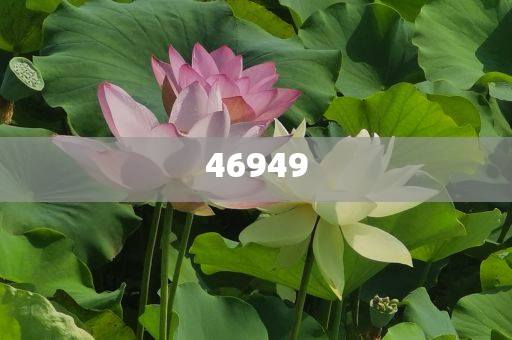 正版全年资料免费大全，助力知识共享与自我提升的时代引擎，正版全年资料免费共享，知识提升与时代引擎的助推器