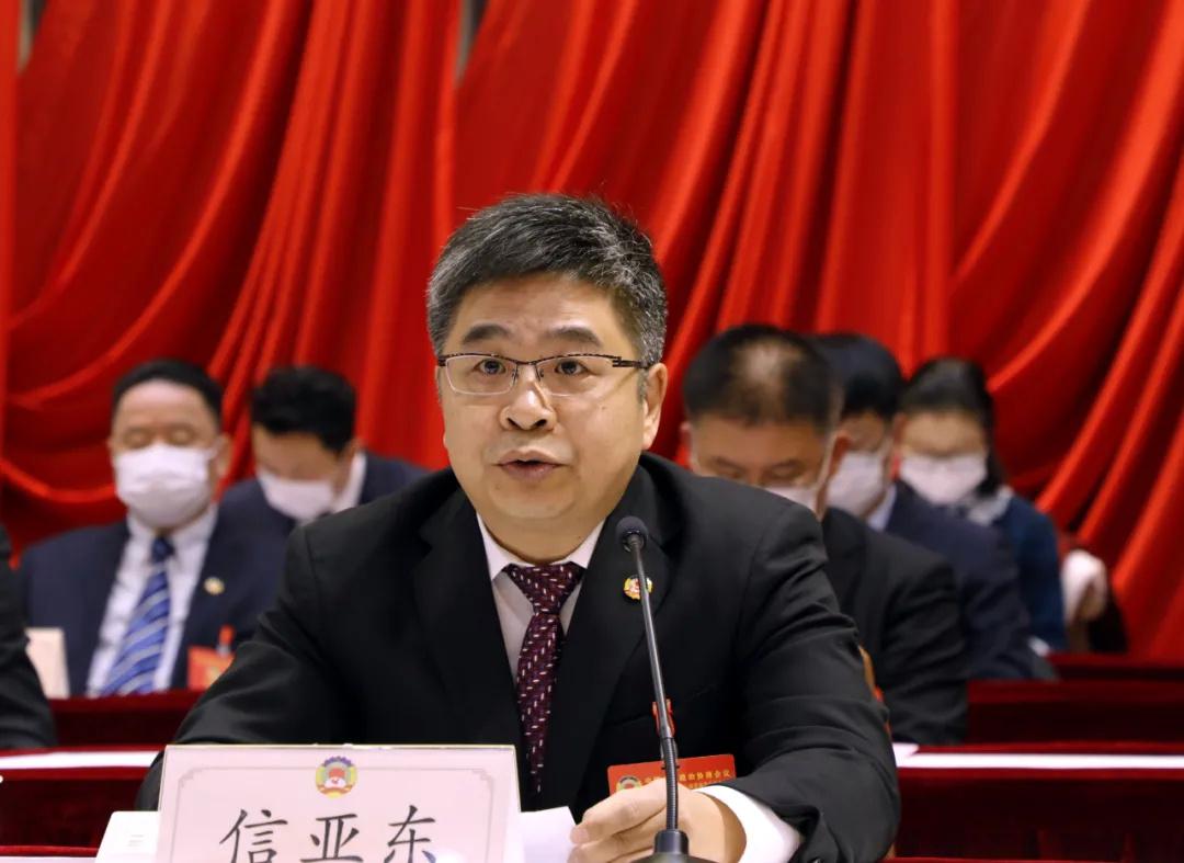 信亚东，一位引领时代的杰出人物，信亚东，时代引领者的杰出风采