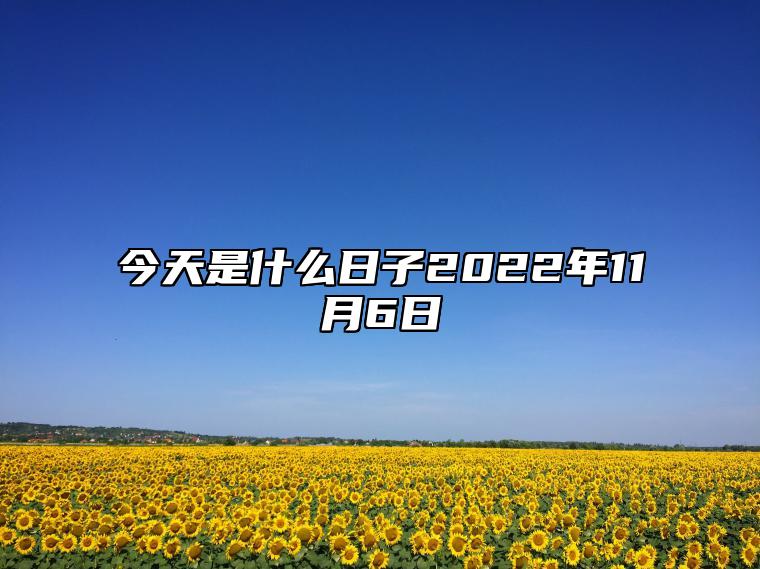 今天是什么日子，今日特殊日子的意义