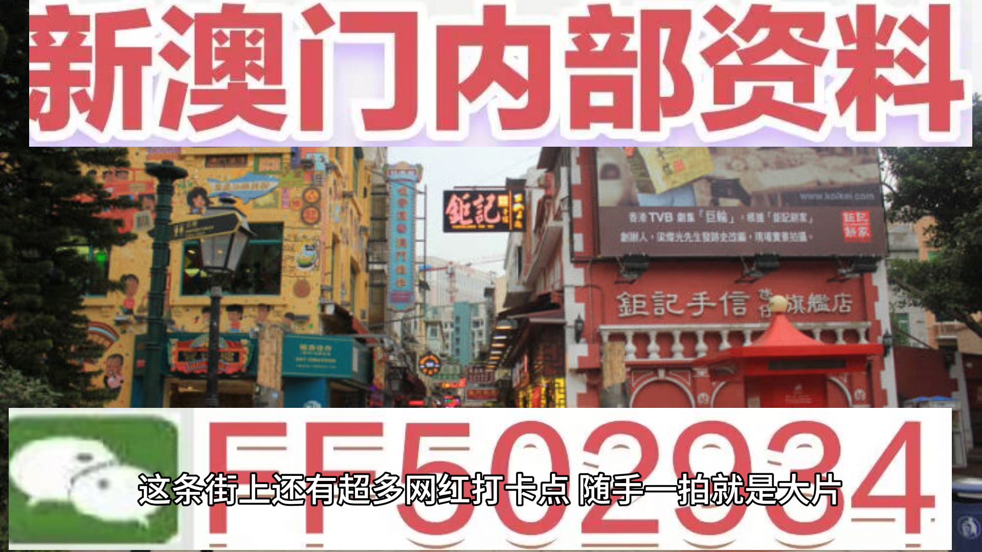 澳门正版资料大全，历史、文化、旅游与现代社会，澳门，历史、文化、旅游与现代社会的全景资料大全