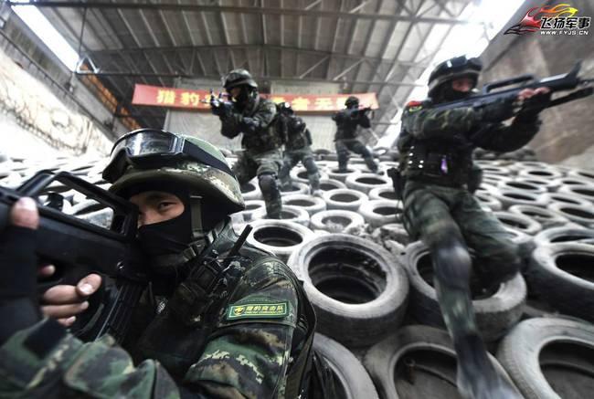 武警内卫服装图片，展现军威与风采，武警内卫服装展示，军威与风采的彰显