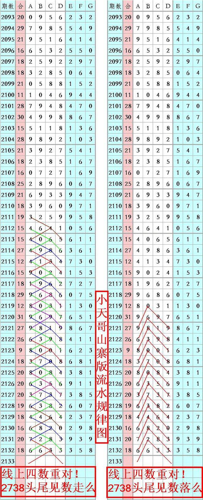王中王论坛一肖平特图，深度解析与探讨，王中王论坛肖平特图深度解析与探讨