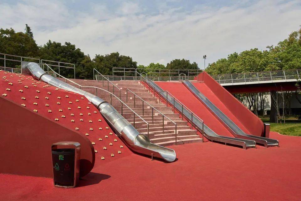 茂密森林中的王者猜一生肖——探寻生肖之王的神秘面纱,森林之王生肖揭秘,探寻生肖奥秘与神秘面纱