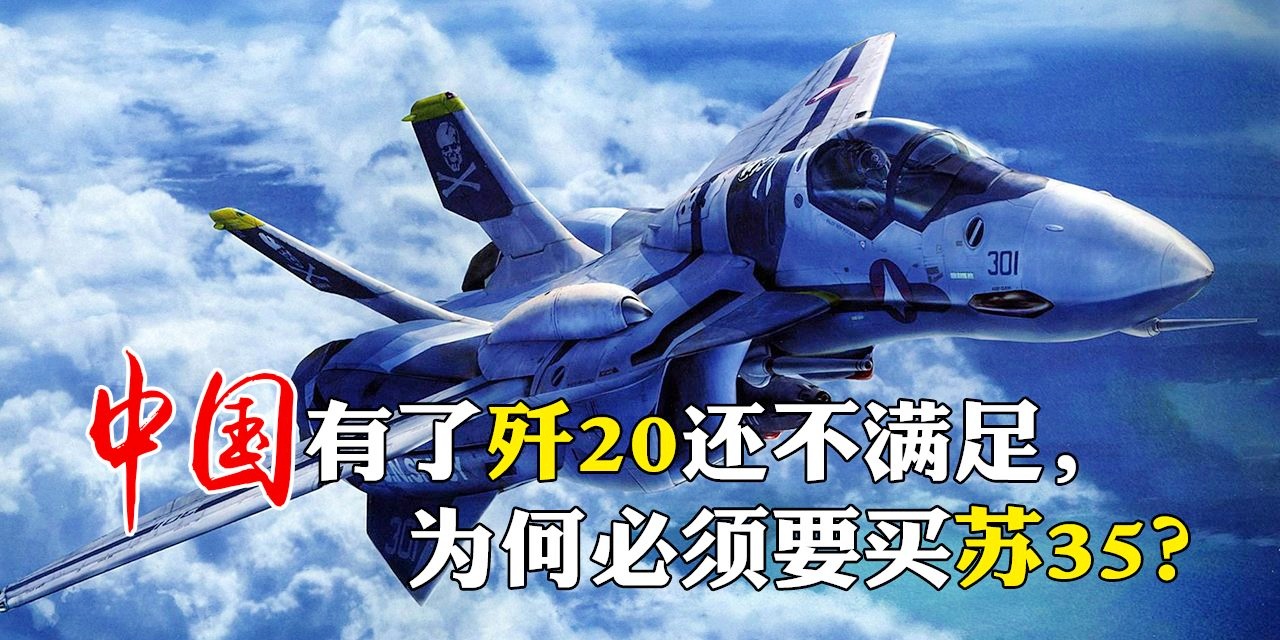 中国进口苏-30系列战斗机的数量分析，中国进口苏-30系列战斗机的数量分析揭秘