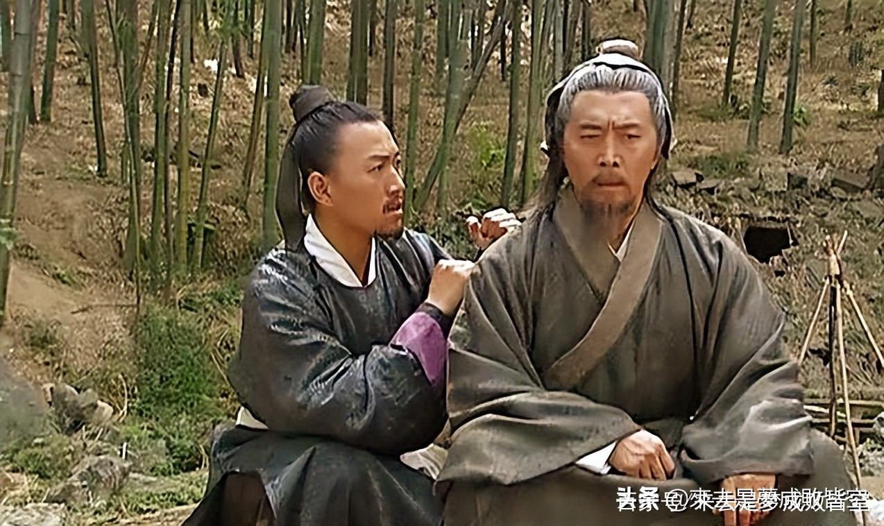 王中王刘伯温资料一肖中深度解析，刘伯温资料深度解析，揭秘生肖预测之王中王之谜