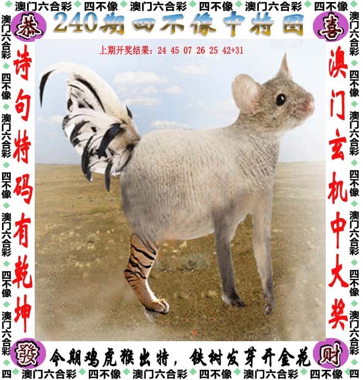 澳门今期正版四不像图片探索之旅，澳门四不像图片探索之旅揭秘