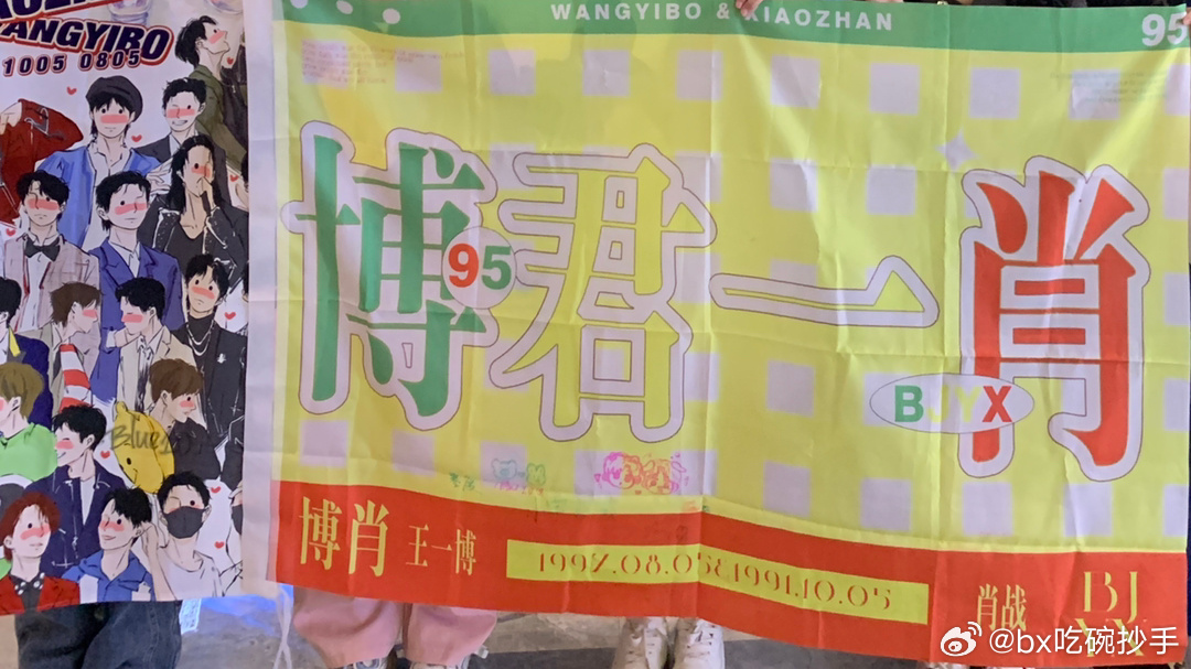 王中王一肖期期中特，探索与解析，王中王一肖期期中特，深度探索与解析