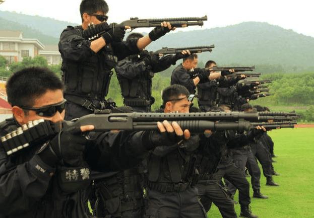 特警与武警，两种力量的优势与特点比较，特警与武警的力量优势与特点比较