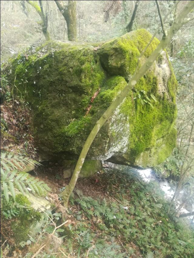 刘伯温四不像必中一肖图,神秘预测与文化的交融,刘伯温四不像必中一肖图,神秘预测与文化交融的奥秘