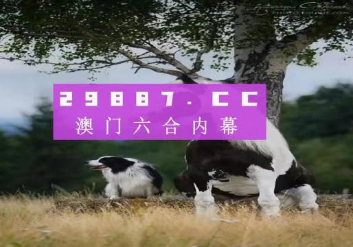澳门彩票的奥秘与魅力，探索新澳门开奖的历程与未来展望（2023年），澳门彩票奥秘与魅力揭秘，新澳门开奖历程回顾与未来展望（2023年）