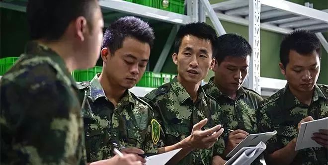 国家军人网站，连接军人与国家的数字桥梁，国家军人网站，连接军人与国家的数字纽带