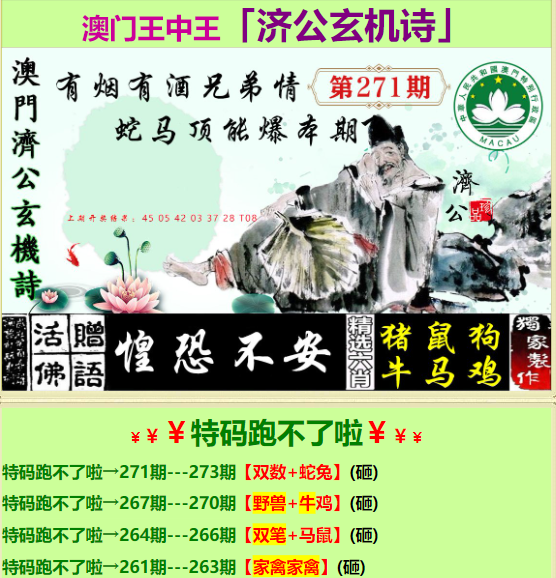 探索神秘数字与特区天顺，王中王中王的独特故事，王中王中王独特故事，神秘数字与特区天顺的探索之旅