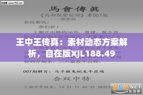 探索正版王中王，数字背后的故事与意义，正版王中王，数字背后的探索与意义