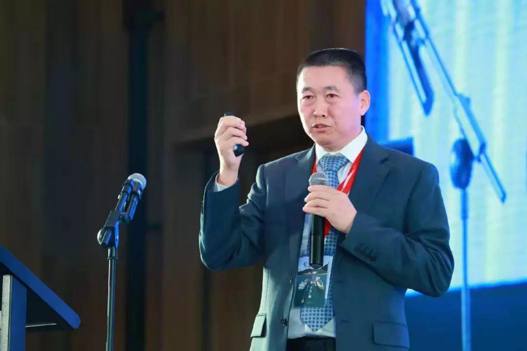 迈向2025，探索新奥正版免费资本的机遇与挑战，迈向2025，新奥正版免费资本的机遇与挑战探索