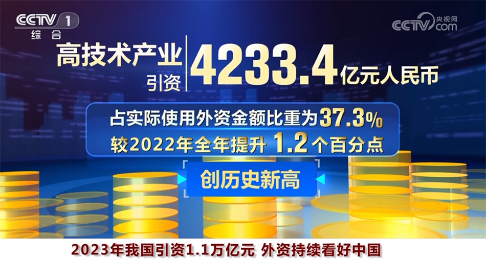 探索王中王，特点与亮点解析，王中王深度解析，特色与亮点探索