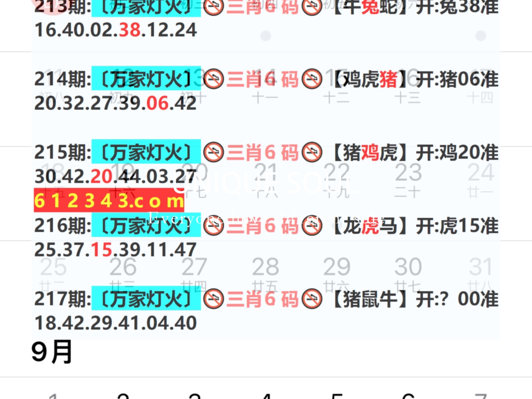 新奥今晚预测一肖一特，新奥今晚预测生肖特选号码