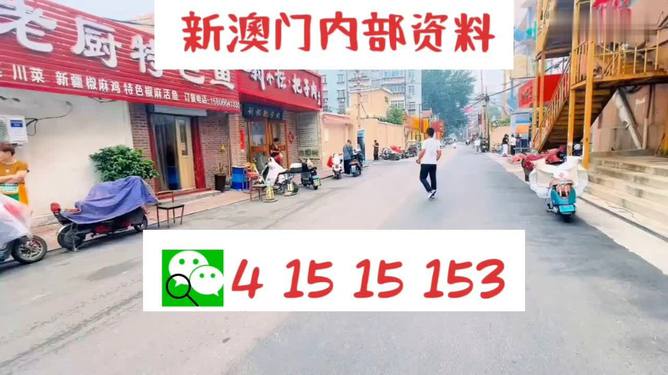 迈向新澳天天开好好，一个充满机遇与活力的未来展望，迈向新澳，活力未来展望天天开好！