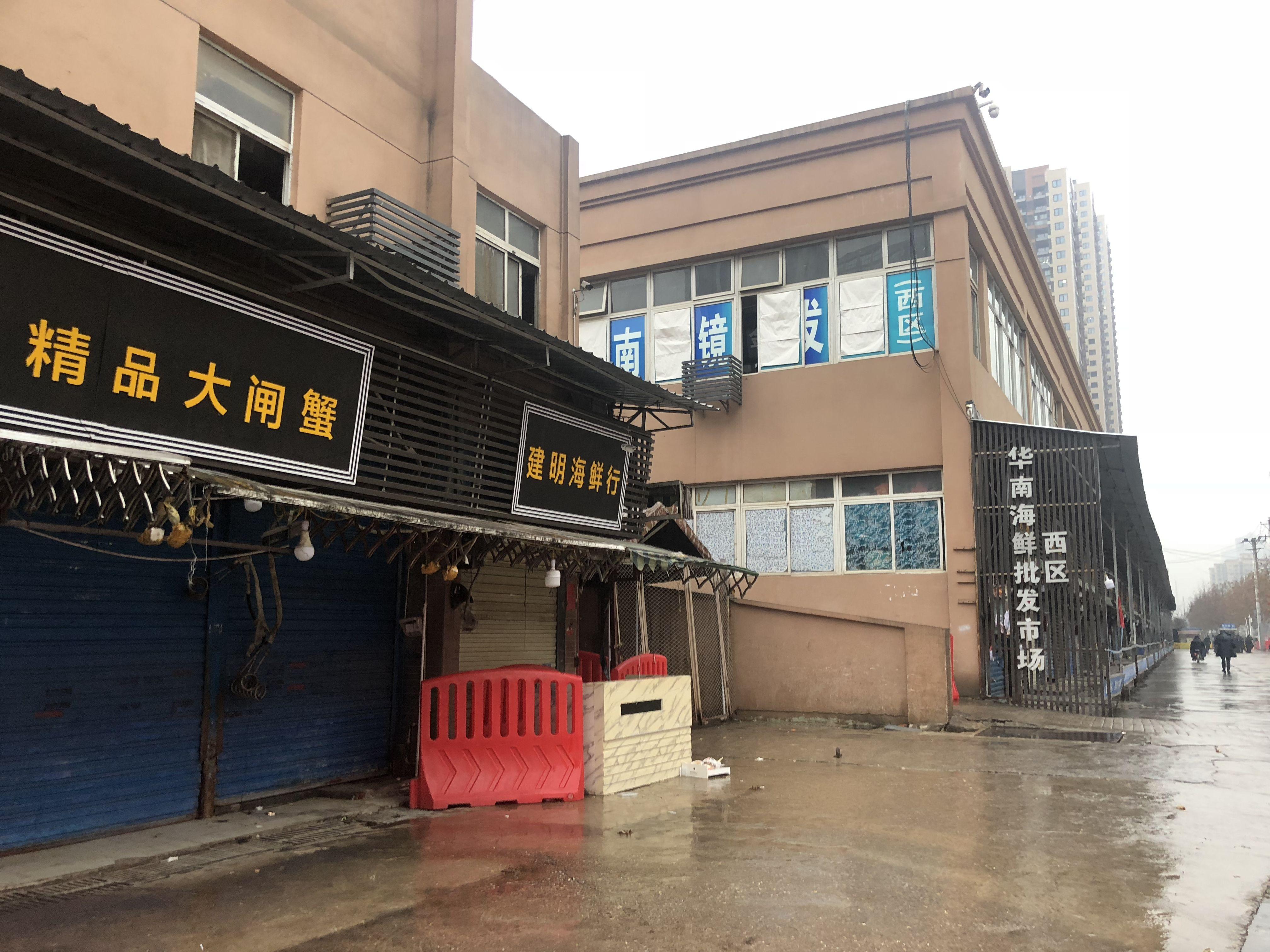 华南海鲜城老板，创业之路与经营之道，华南海鲜城老板，创业历程与经营智慧