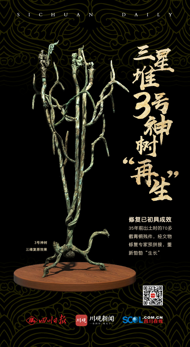 独家网，探索网络新时代的独特魅力与无限可能，独家网，探索网络新时代的独特魅力和无限潜能