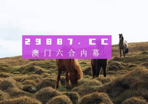 澳门最快开奖11816，彩票的魅力与期待，澳门彩票开奖背后的魅力与期待，探寻彩票文化背后的故事