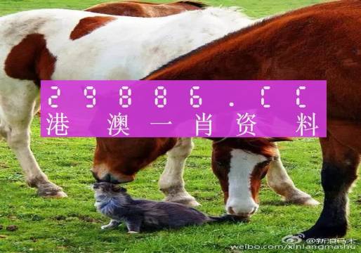 澳门一码中一肖更新日期的奥秘与探索，澳门一码中一肖更新日期的奥秘揭秘与探索