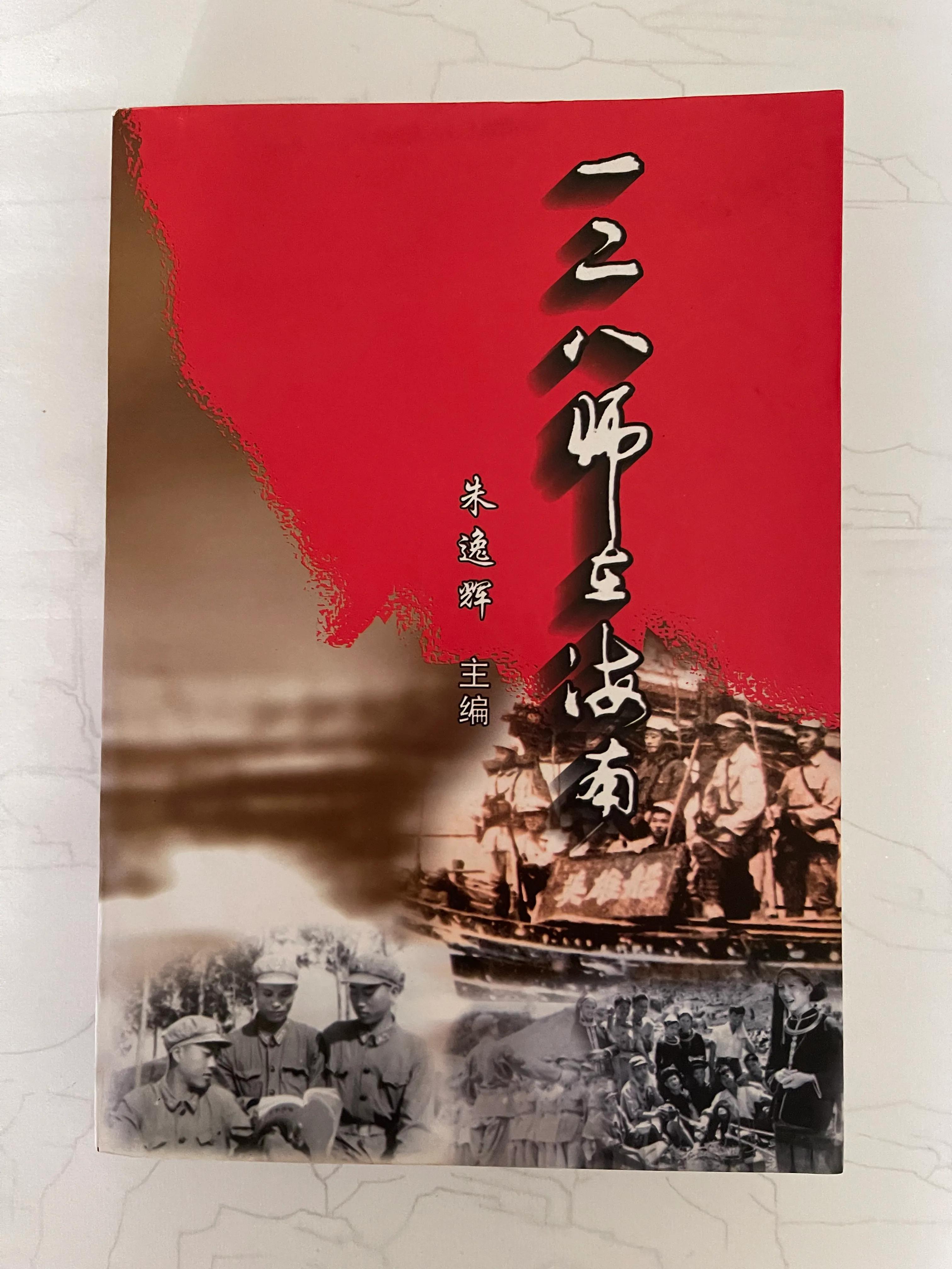 海南岛战役实际情况的全面解析，海南岛战役全面解析与实际情况探讨