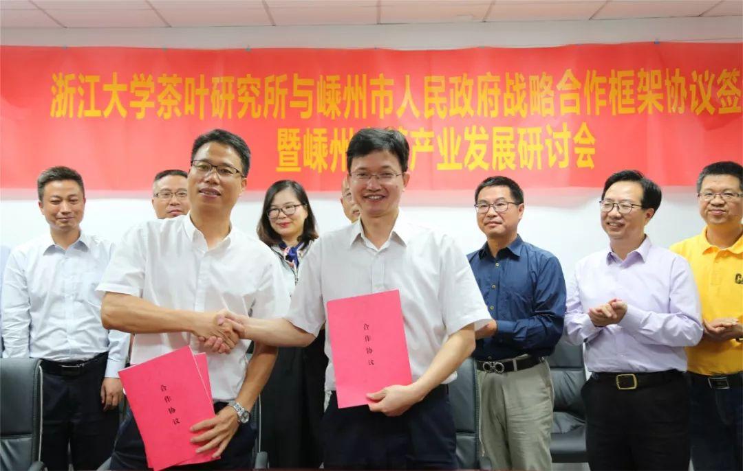 中国国际战略研究所，探索中国对外战略的深度与广度，中国国际战略研究所深度探索中国对外战略之广度与深度