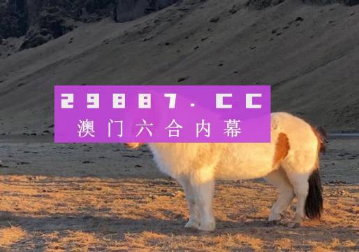 澳门彩六开奖结果第52期深度解析,澳门彩六第52期开奖结果深度解析报告