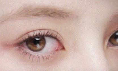 美国对中最新消息全面解析,美国对中最新消息全面解读