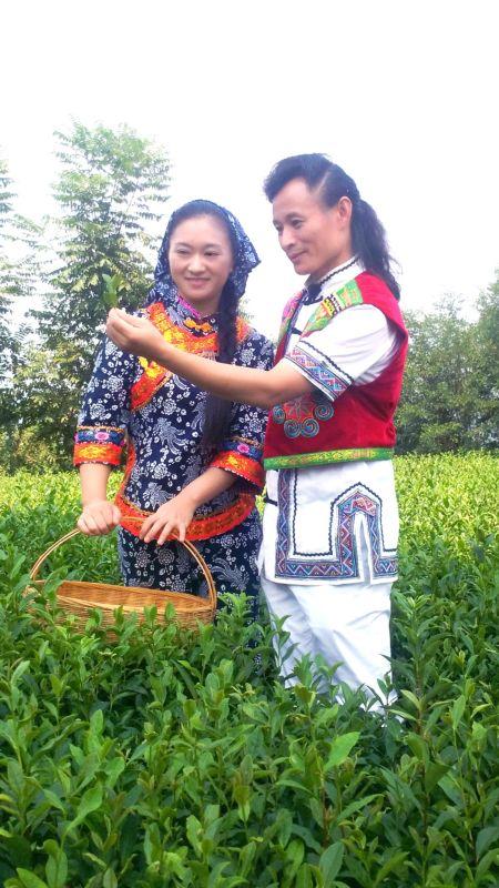 新闻发布会邀请函的独特魅力与重要性，新闻发布会邀请函的独特魅力及其重要性解析