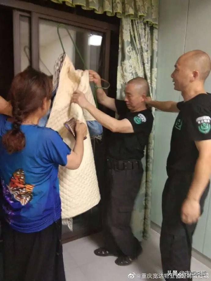 一肖二码中特公开,揭秘彩票背后的秘密,揭秘彩票秘密,一肖二码中特公开真相