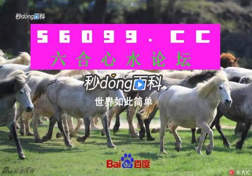 揭开神秘面纱，探索白小姐王中王四不像图一与肖中特的独特魅力，探索白小姐王中王四不像与肖中特独特魅力的神秘面纱